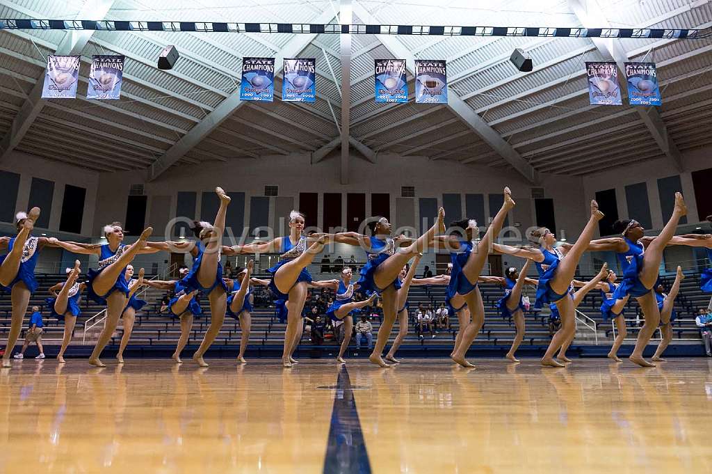 Blue Belles Halftime 40.jpg